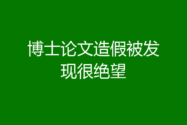 博士论文造假被发现很绝望