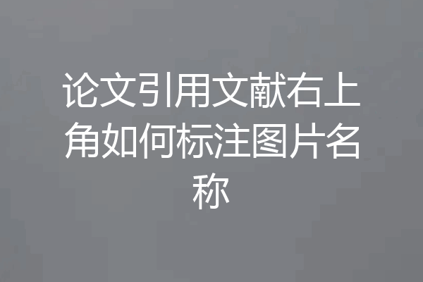 论文引用文献右上角如何标注图片名称