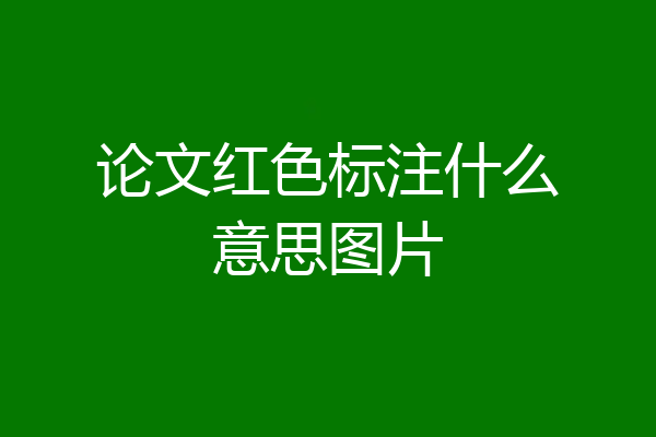 论文红色标注什么意思图片