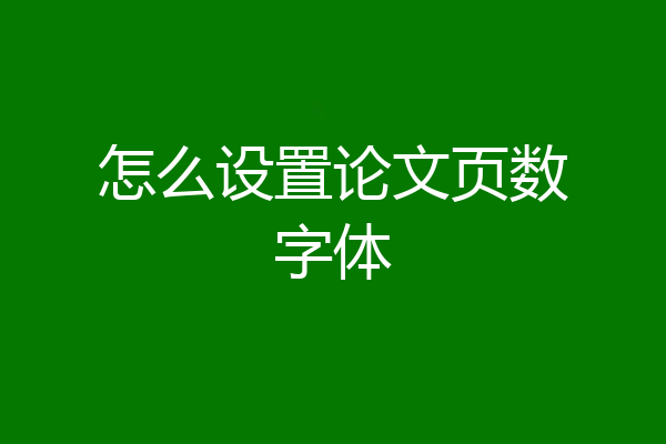 怎么设置论文页数字体