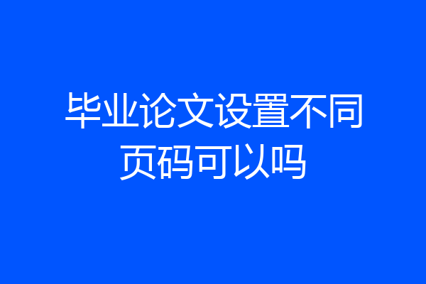 毕业论文设置不同页码可以吗