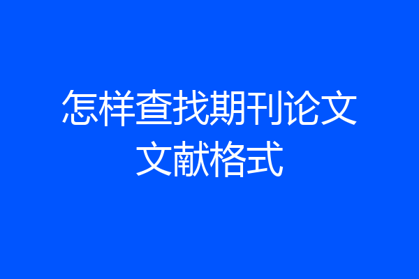 怎样查找期刊论文文献格式