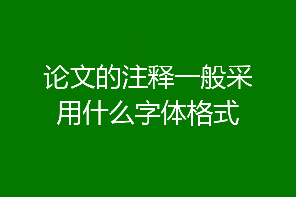 论文的注释一般采用什么字体格式