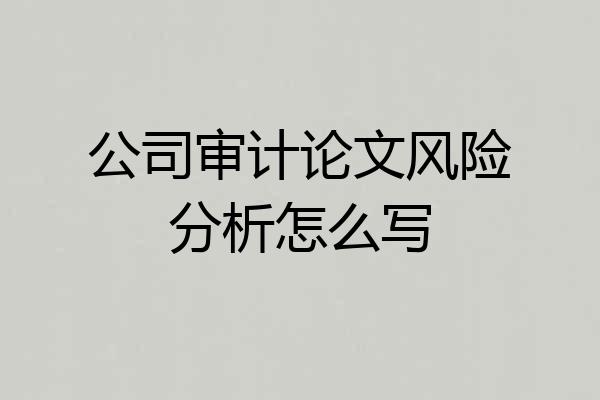 公司审计论文风险分析怎么写