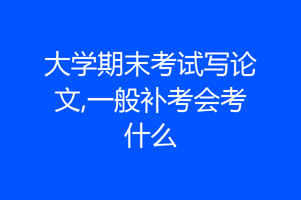 大学期末考试写论文,一般补考会考什么