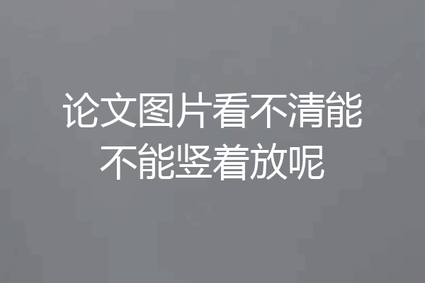 论文图片看不清能不能竖着放呢