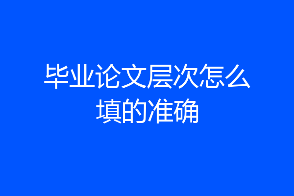 毕业论文层次怎么填的准确