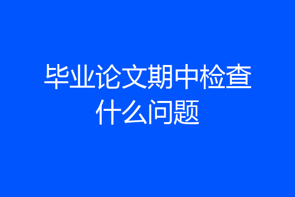 毕业论文期中检查什么问题
