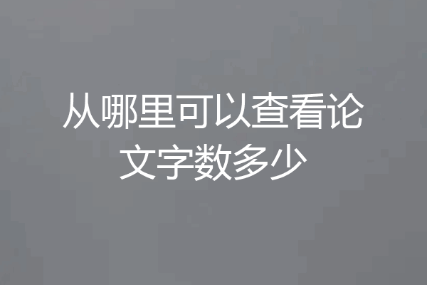 从哪里可以查看论文字数多少