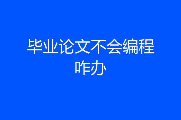 毕业论文不会编程咋办