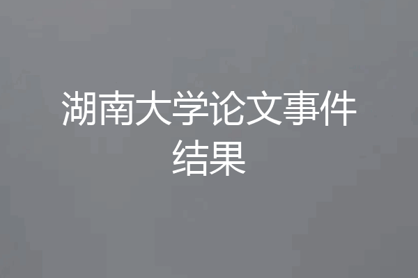 湖南大学论文事件结果