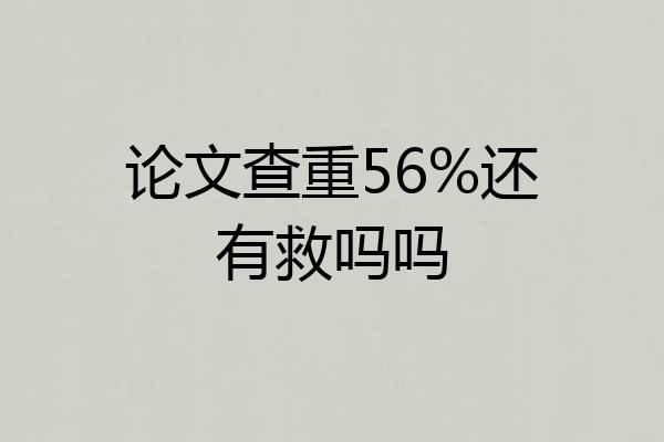 论文查重56%还有救吗吗