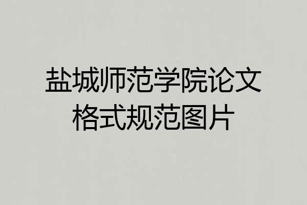 盐城师范学院论文格式规范图片