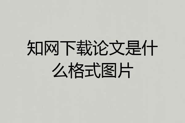 知网下载论文是什么格式图片