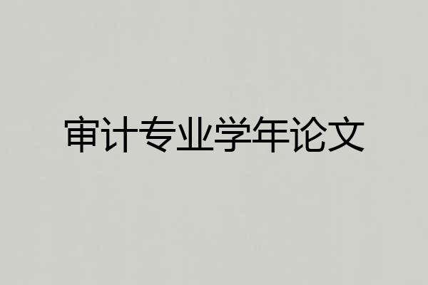 审计专业学年论文