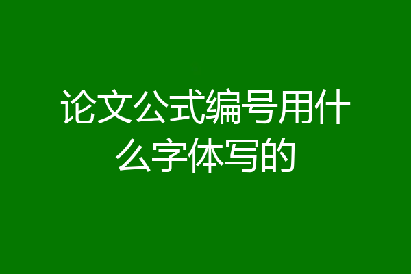 论文公式编号用什么字体写的
