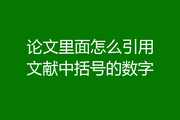 论文里面怎么引用文献中括号的数字