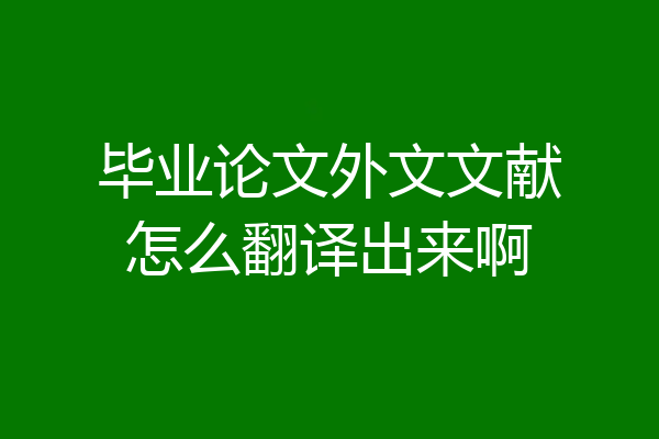 毕业论文外文文献怎么翻译出来啊