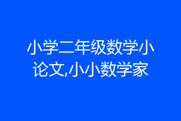 小学二年级数学小论文,小小数学家