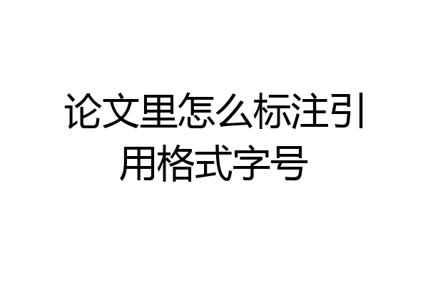 论文里怎么标注引用格式字号