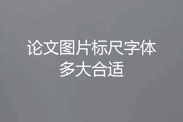 论文图片标尺字体多大合适
