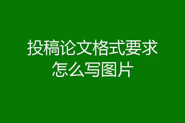 投稿论文格式要求怎么写图片