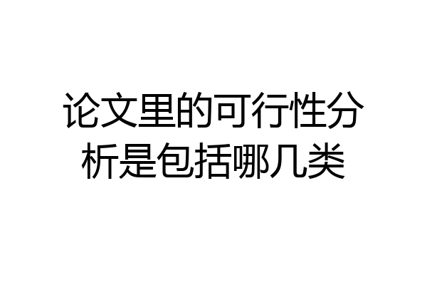 论文里的可行性分析是包括哪几类