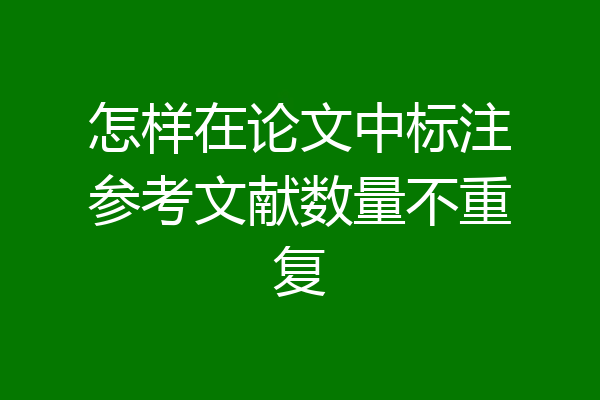 怎样在论文中标注参考文献数量不重复