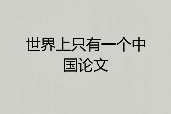 世界上只有一个中国论文