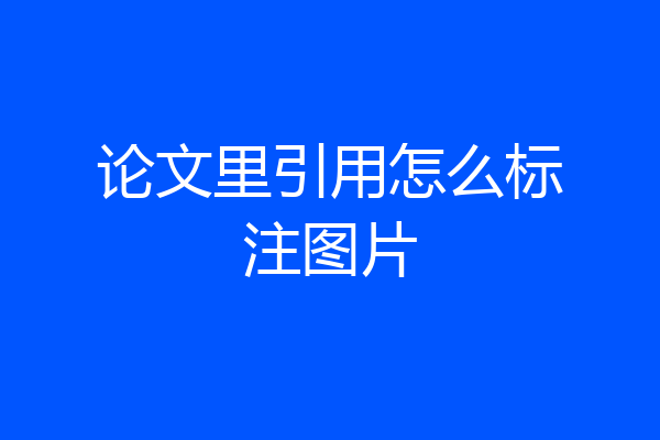 论文里引用怎么标注图片