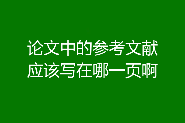 论文中的参考文献应该写在哪一页啊