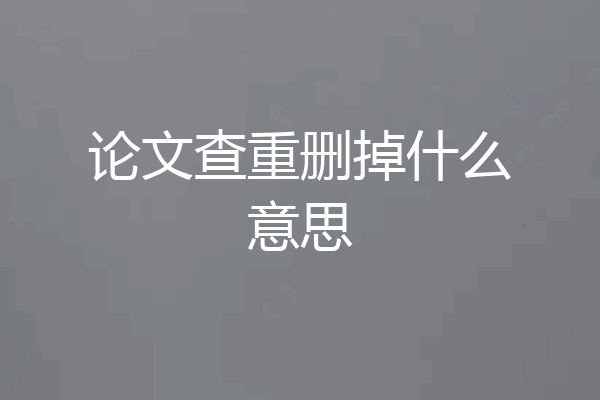 论文查重删掉什么意思