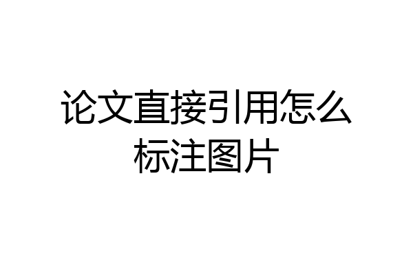 论文直接引用怎么标注图片