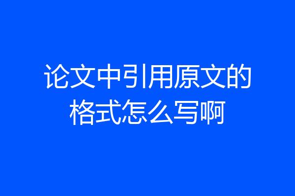 论文中引用原文的格式怎么写啊