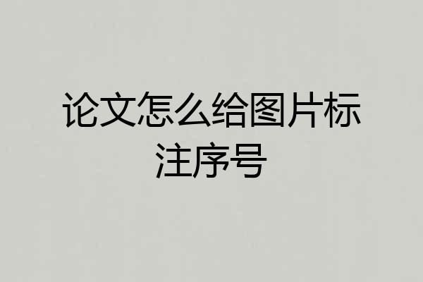 论文怎么给图片标注序号