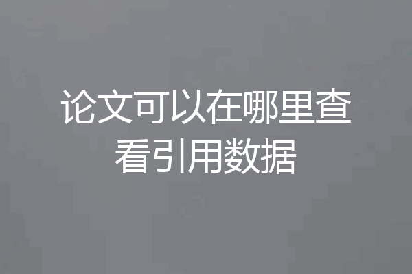 论文可以在哪里查看引用数据