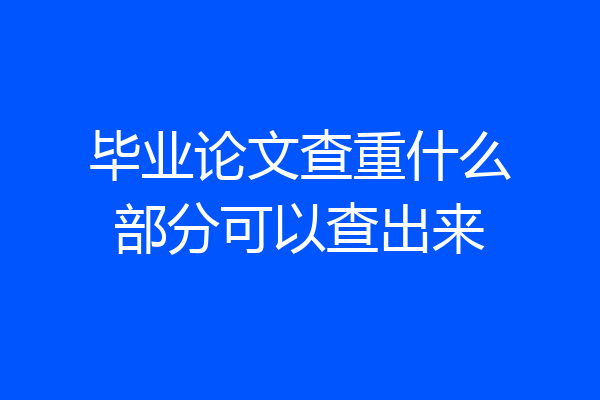 毕业论文查重什么部分可以查出来