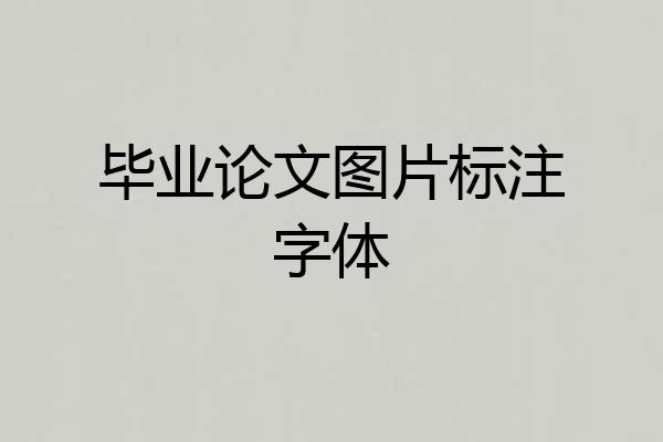 毕业论文图片标注字体