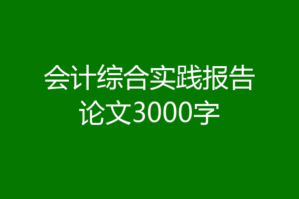 会计综合实践报告论文3000字