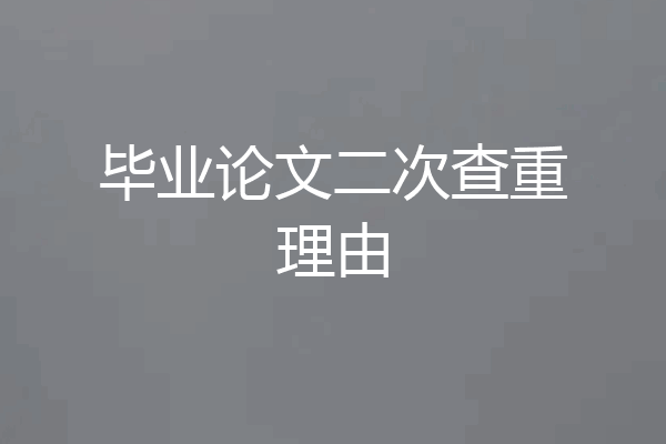 毕业论文二次查重理由