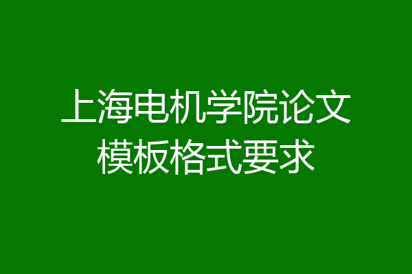 上海电机学院论文模板格式要求
