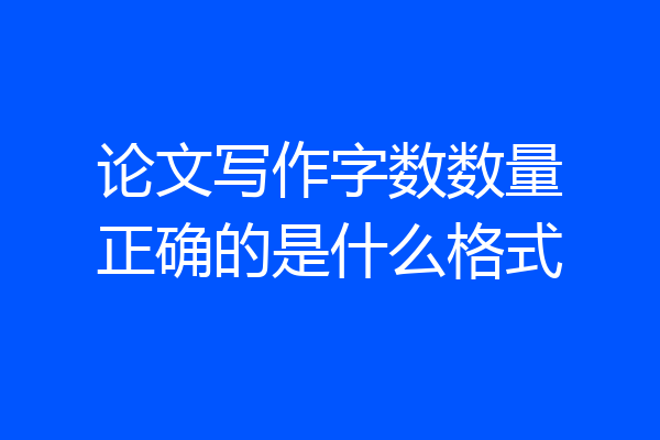 论文写作字数数量正确的是什么格式