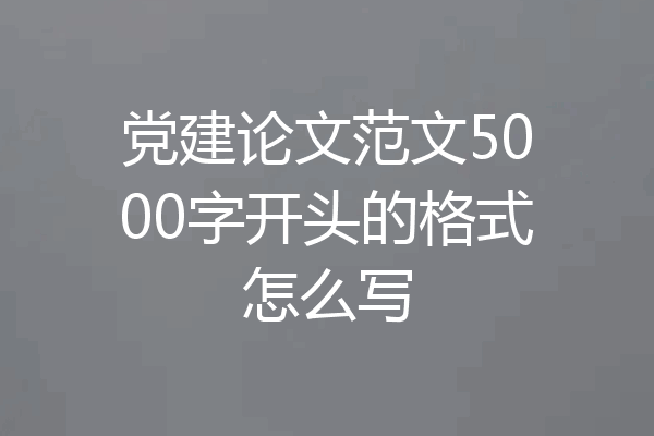 党建论文范文5000字开头的格式怎么写