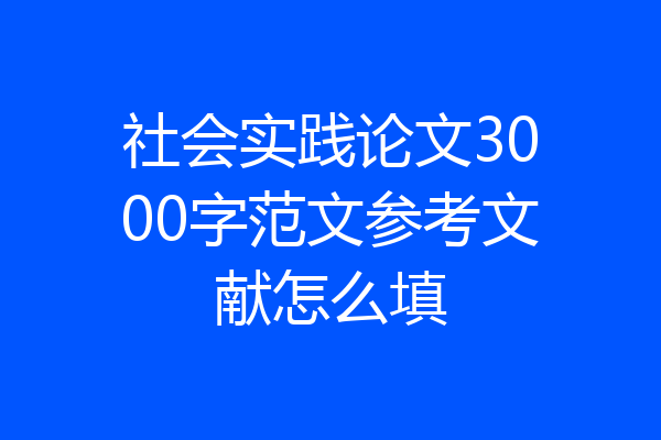社会实践论文3000字范文参考文献怎么填
