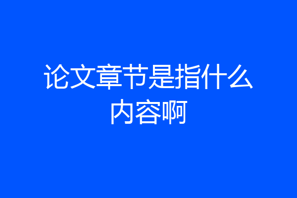 论文章节是指什么内容啊