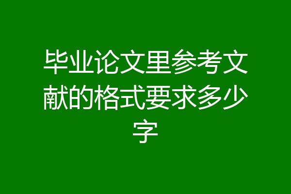 毕业论文里参考文献的格式要求多少字