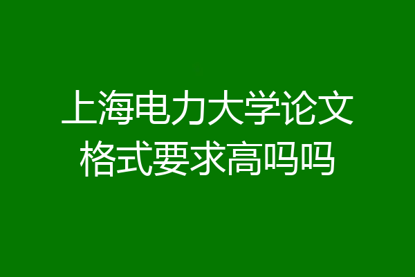 上海电力大学论文格式要求高吗吗