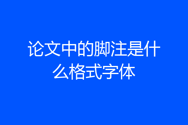 论文中的脚注是什么格式字体