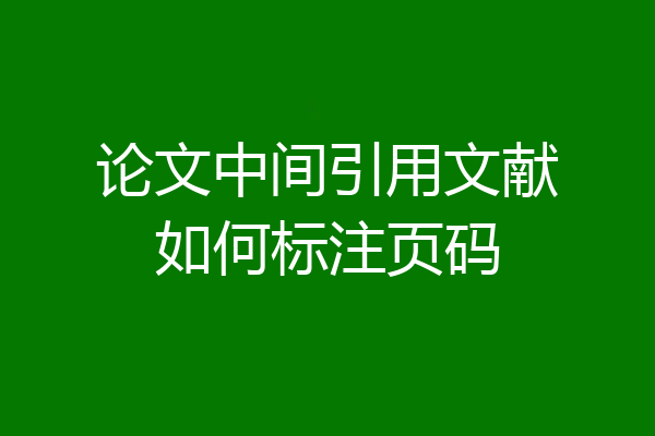 论文中间引用文献如何标注页码