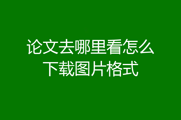 论文去哪里看怎么下载图片格式